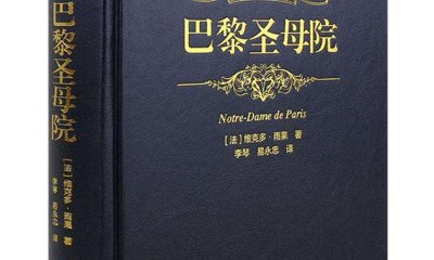 巴黎圣母院最新讀后感_《巴黎圣母院》讀書心得精選5篇
