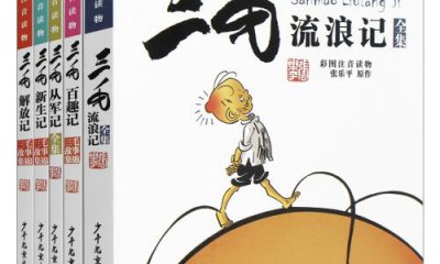 最新2020三毛流浪記讀后感