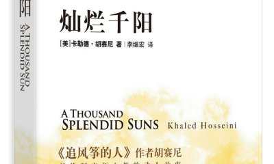 關(guān)于《燦爛千陽》讀后感精選5篇