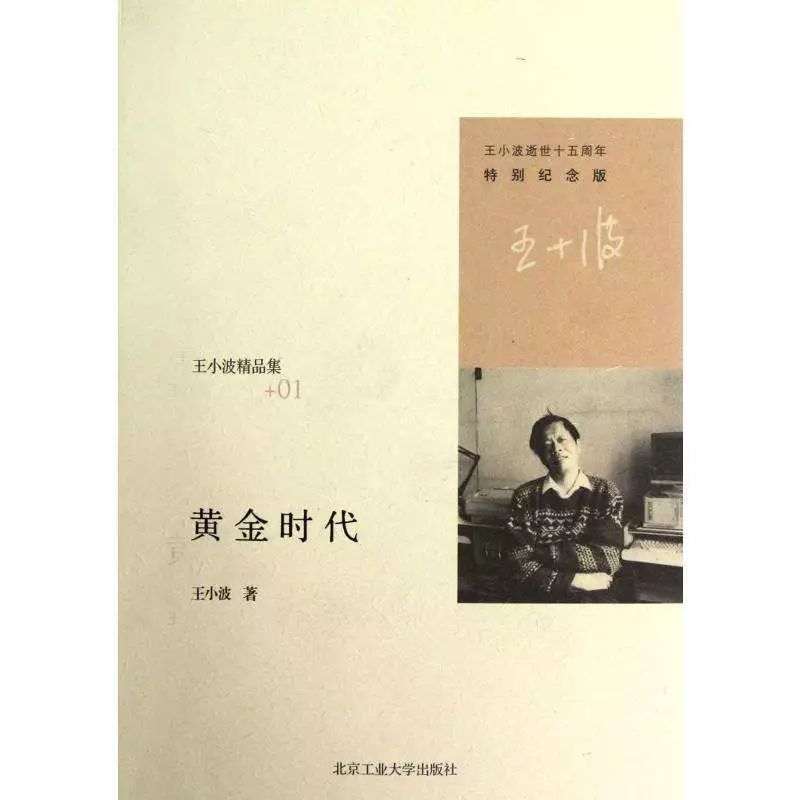 王小波:黃金時(shí)代【讀后感|讀書筆記|讀書心得|簡(jiǎn)介】