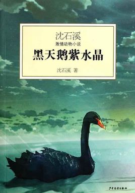 沈石溪：黑天鵝紫水晶【讀后感I讀書筆記I讀書心得I簡介】