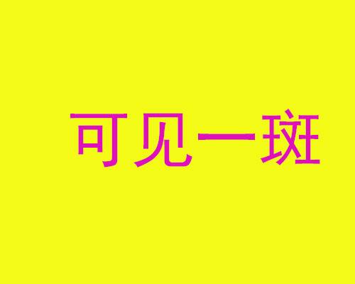 可見一斑.jpg