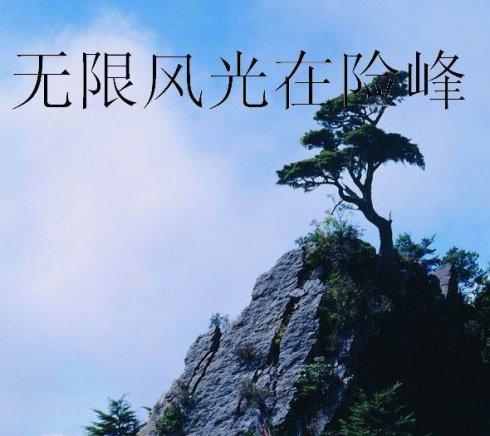 無限風光在險峰.jpg