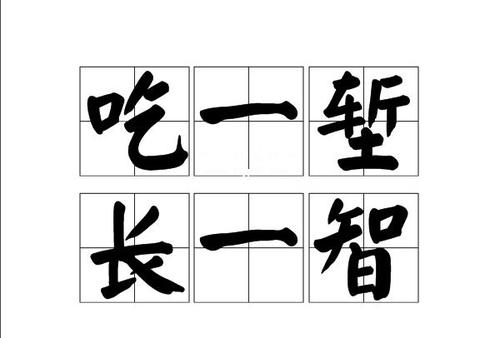 吃一塹長(zhǎng)一智作文