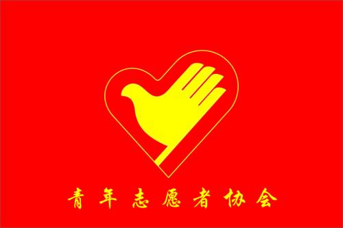 青年志愿者活動總結(jié)
