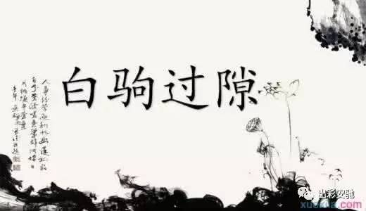 時間追不上白馬.jpg
