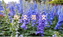 2020感恩節(jié)關(guān)于老師的優(yōu)秀范文