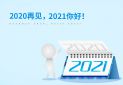 2020再見(jiàn)2021你好優(yōu)秀作文5篇