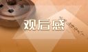 《八佰》抗日片觀后感五年級