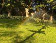 有關(guān)夏天的經(jīng)典語錄