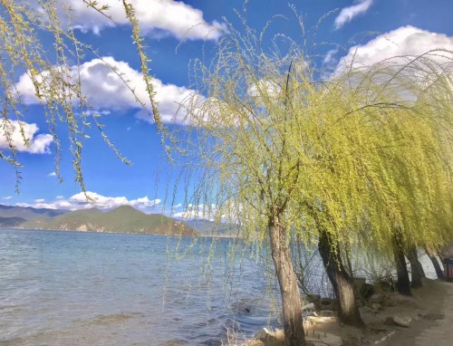 天氣太熱如何發(fā)朋友圈表達心情
